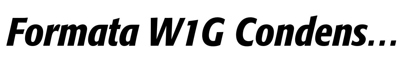 Formata W1G Condensed Medium Italic